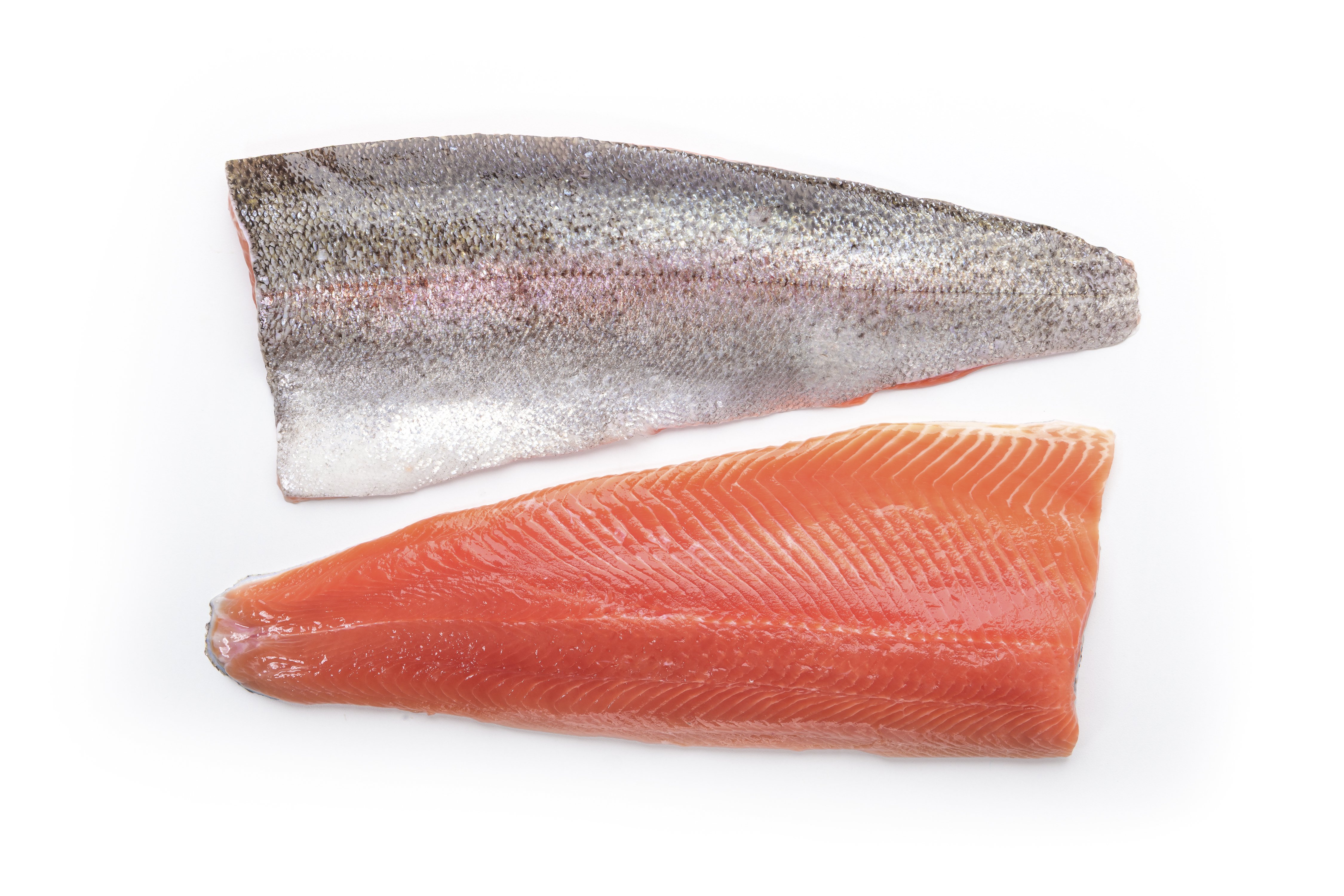 Trout fillet pair skin and flesh side