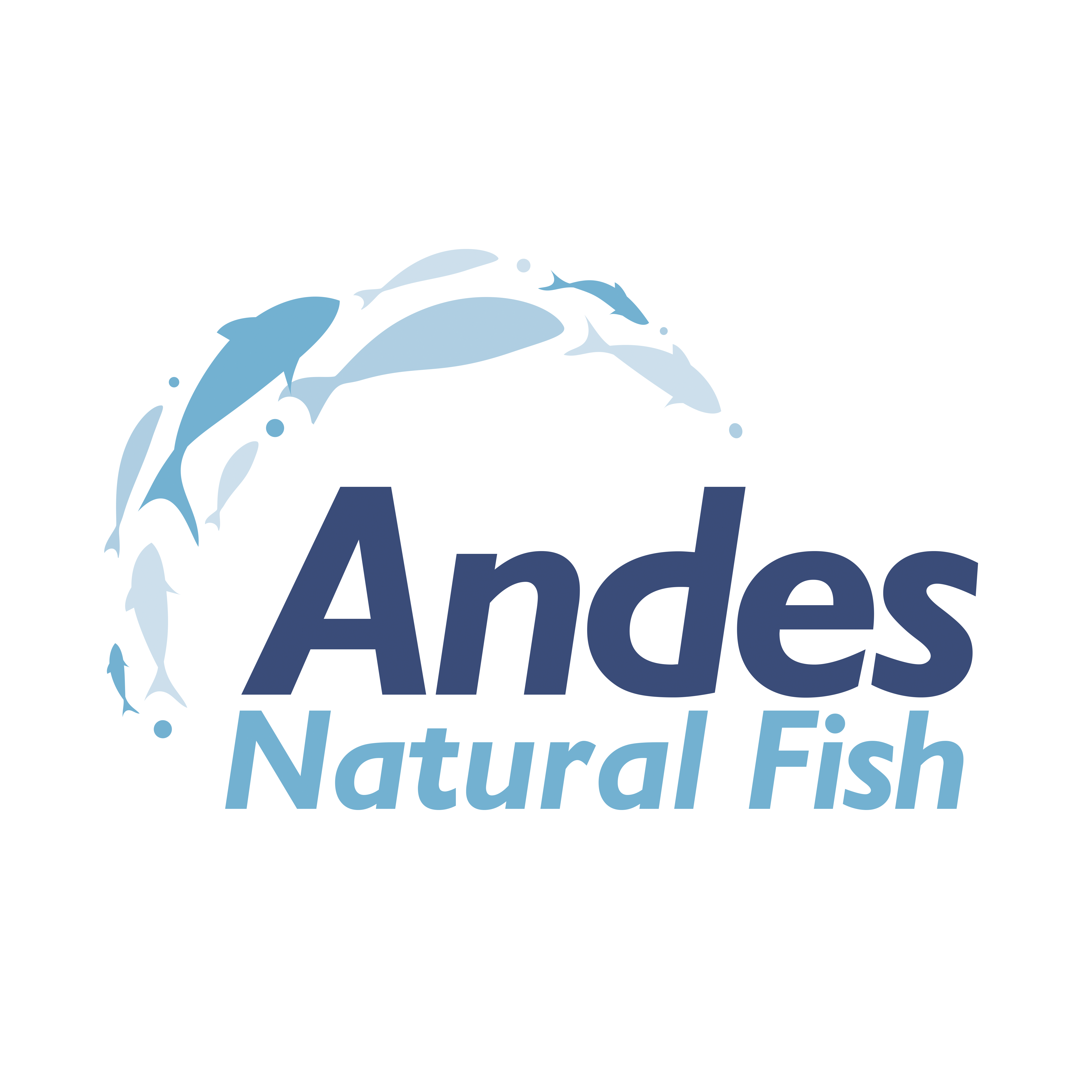 Andes Natural Fish