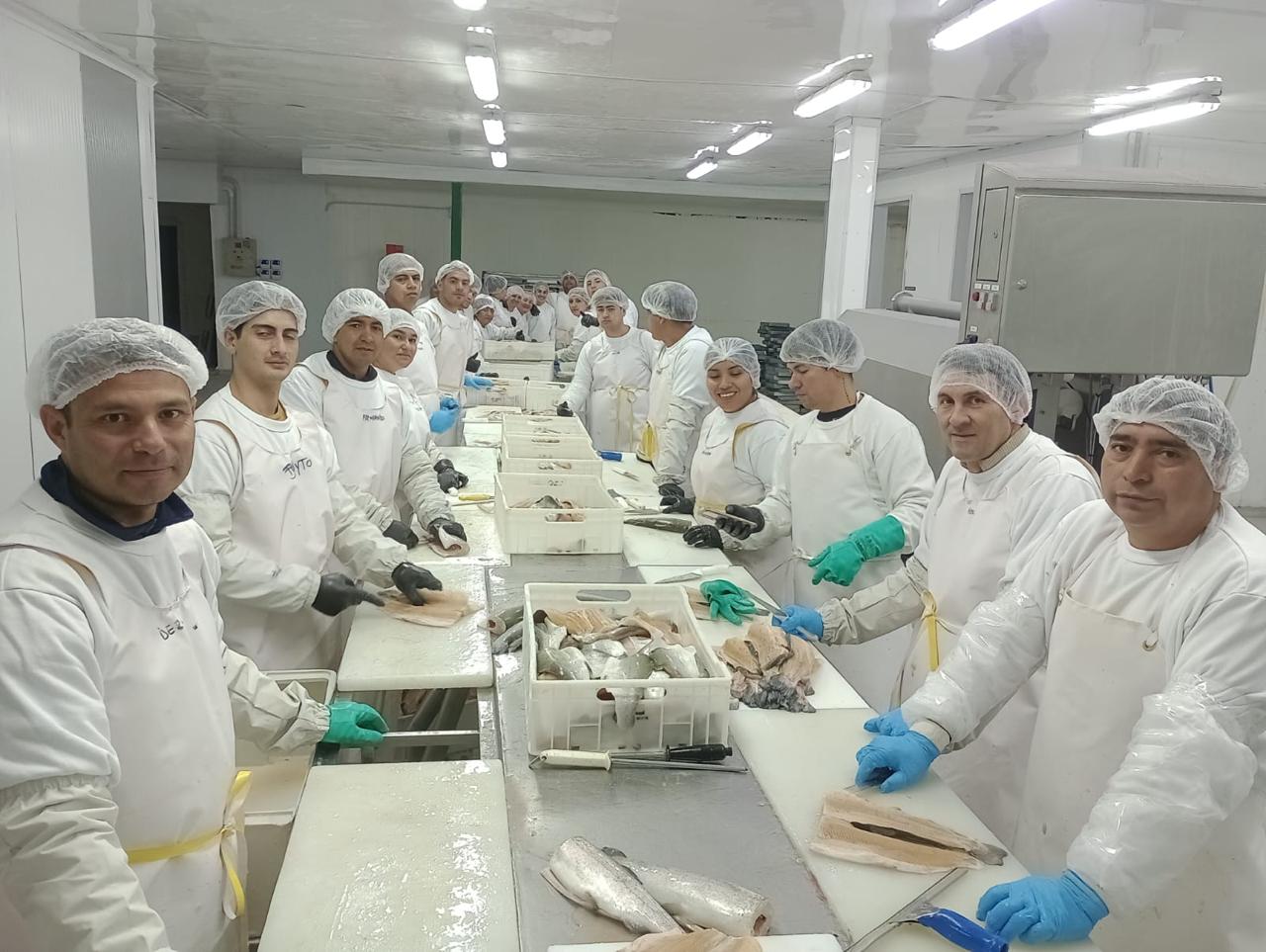 Full team at the processing line