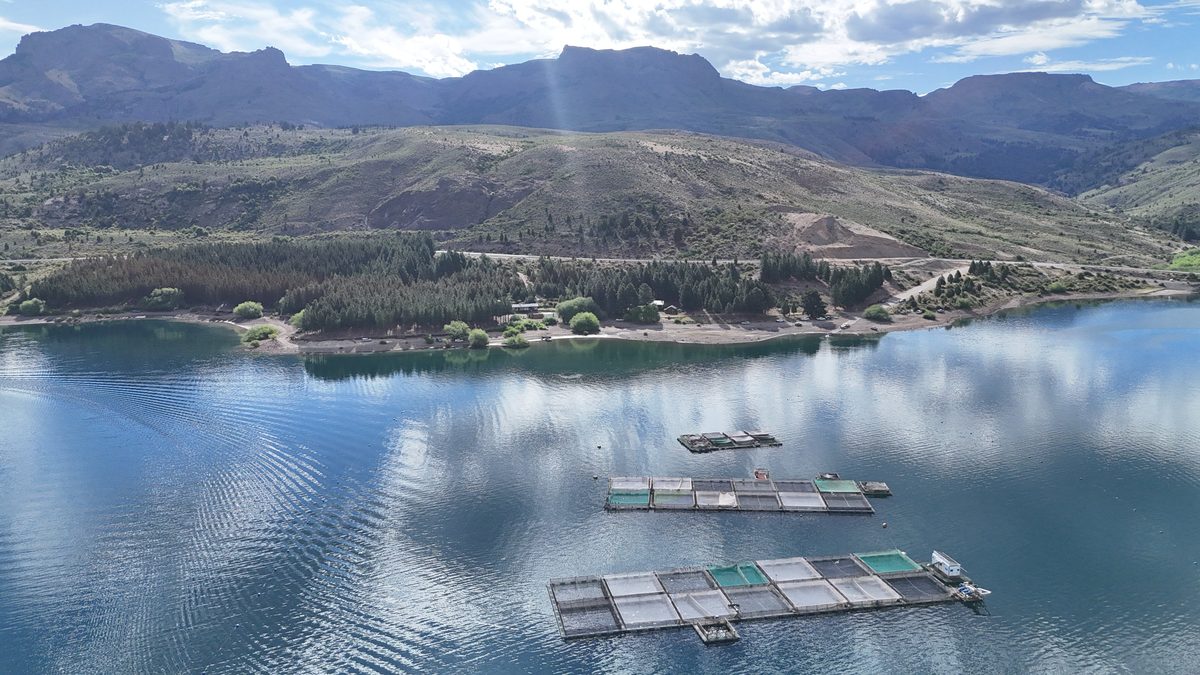 Aerial view of farm cages with Patagonian mountains