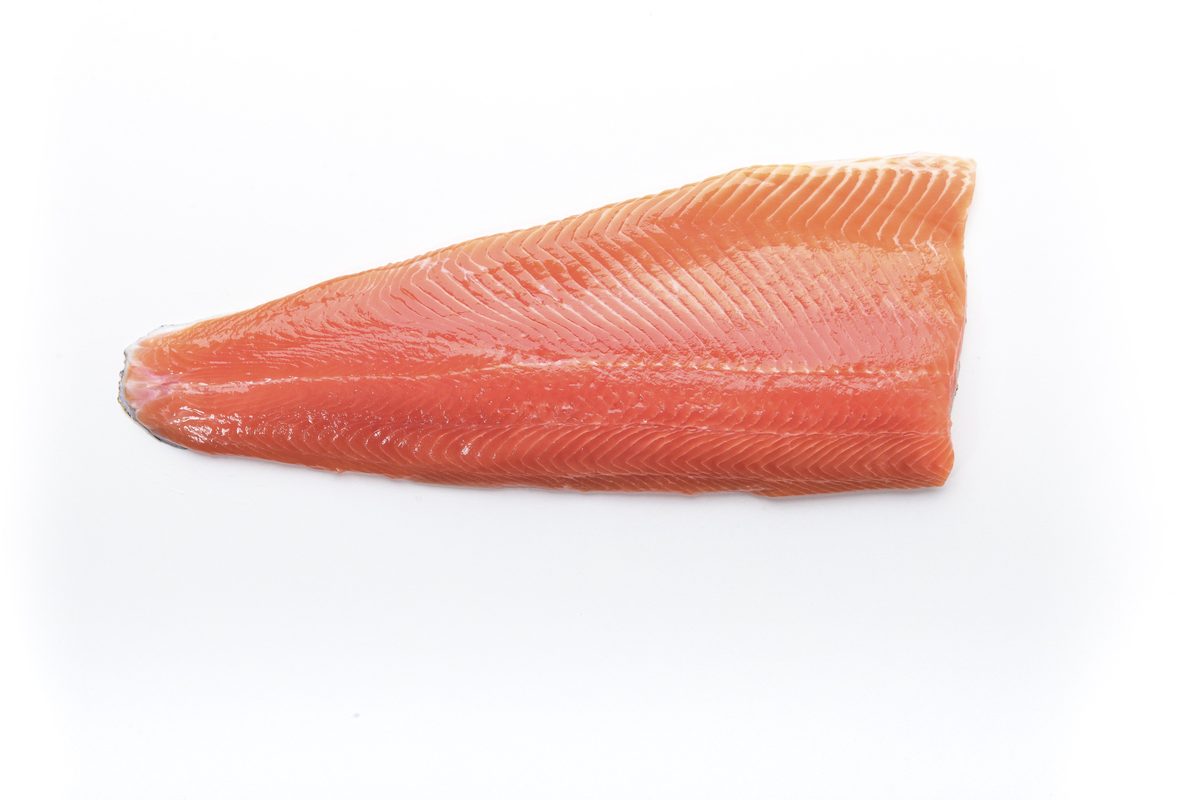 Color trout fillet