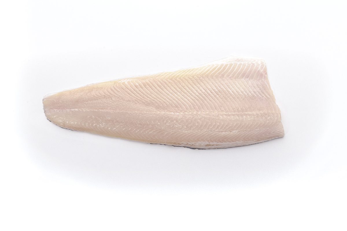 White trout fillet