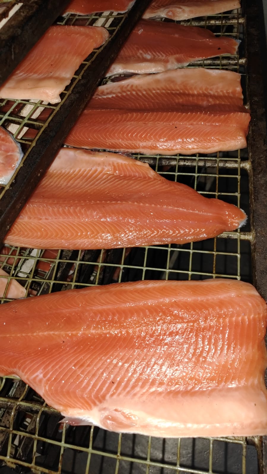 Trout in the smoker